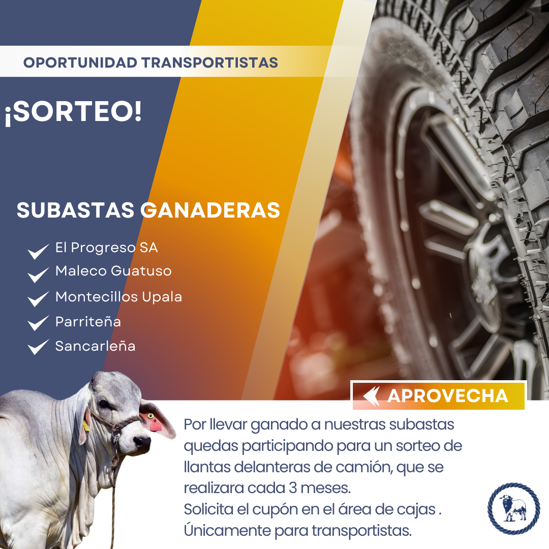 SORTEO LLANTAS CAMION